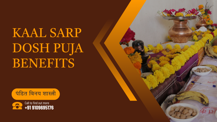 Kaal Sarp Dosh Puja Benefits