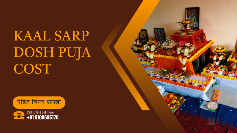 Kaal Sarp Dosh Puja Cost
