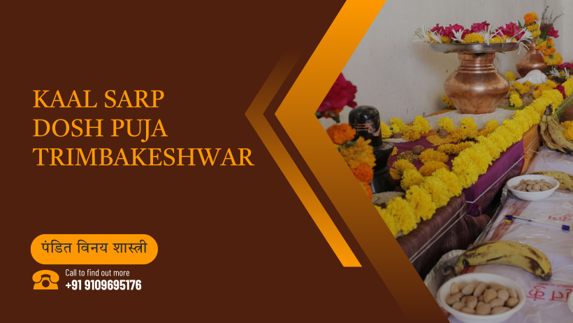 Kaal Sarp Dosh Puja Trimbakeshwar