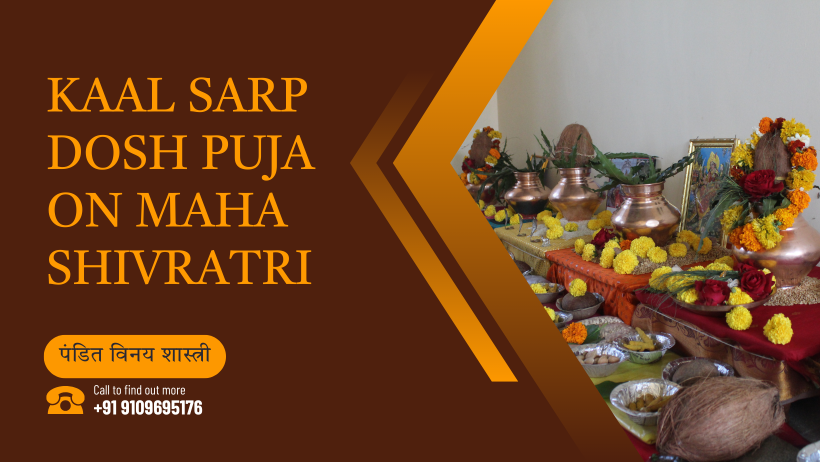 Kaal Sarp Dosh Puja on Maha Shivratri