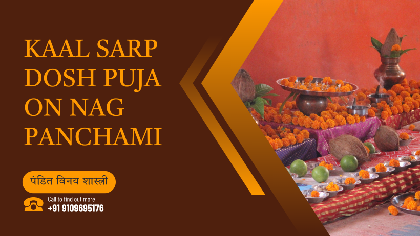 Kaal Sarp Dosh Puja on Nag Panchami