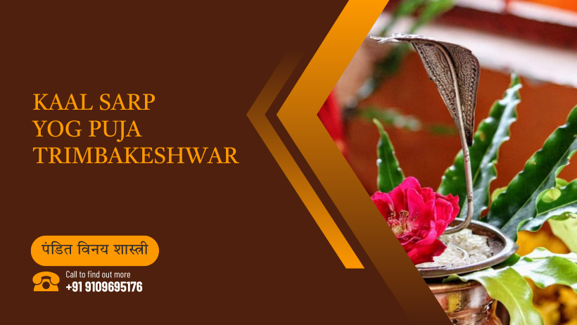Kaal Sarp Yog Puja Trimbakeshwar