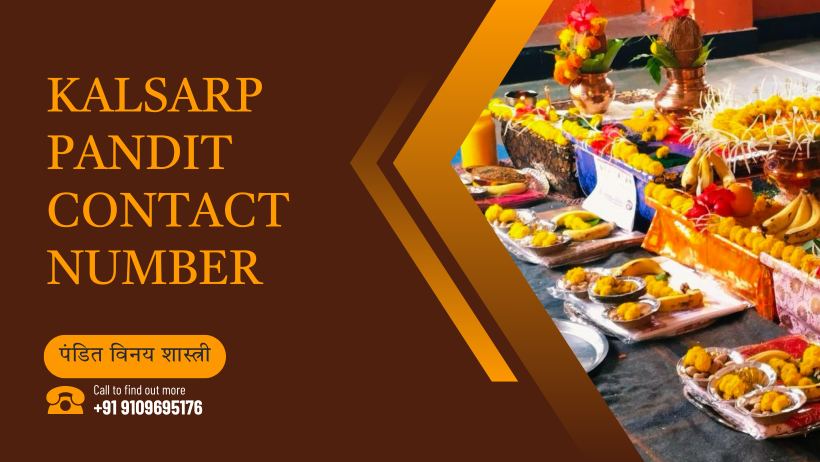 Kalsarp Pandit Contact Number